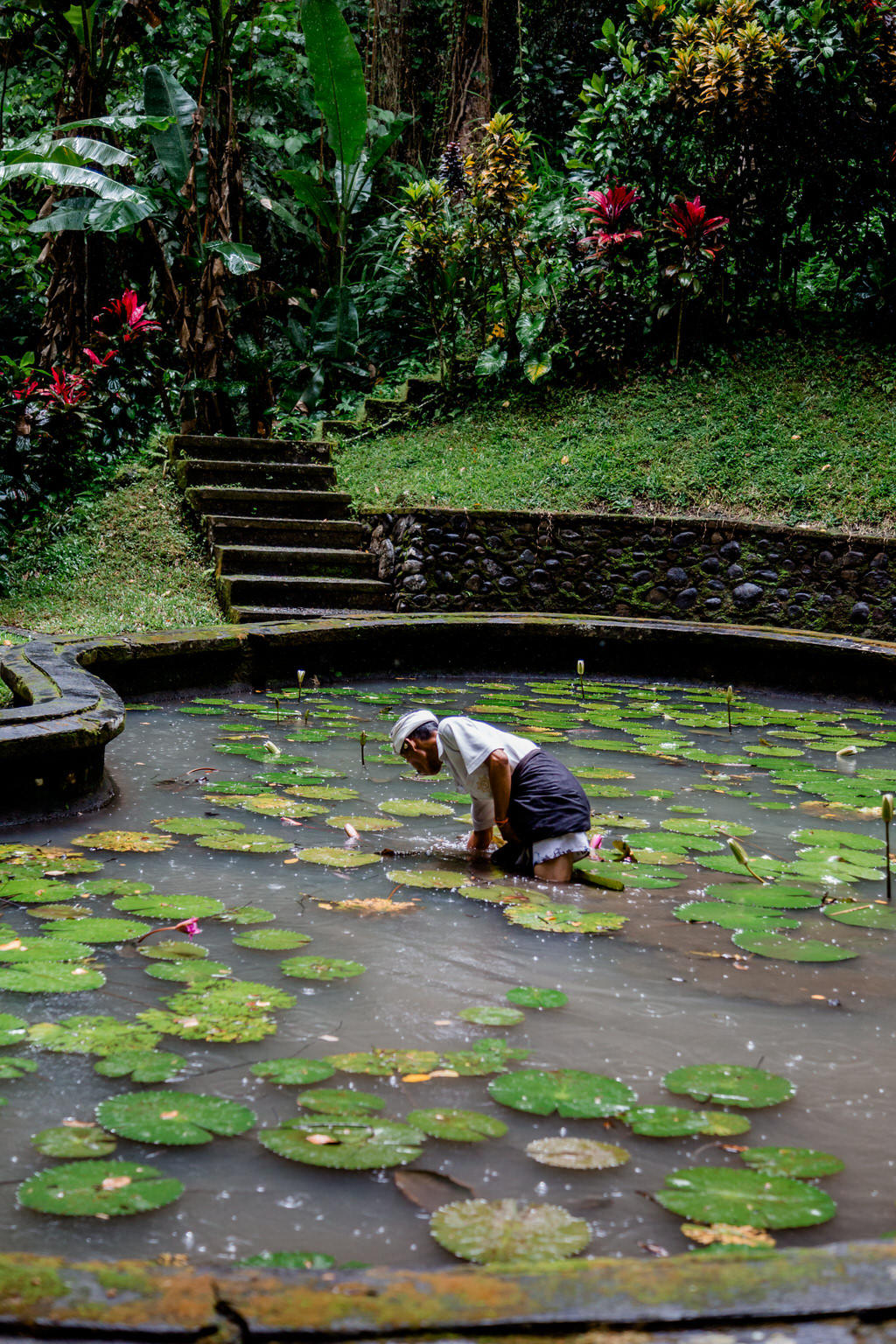 051 ubud sehenswuerdigkeiten adventure moments goa gajah