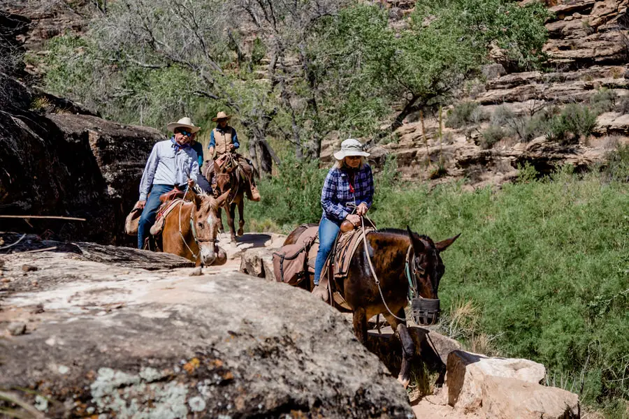 Grand Canyon Wandern