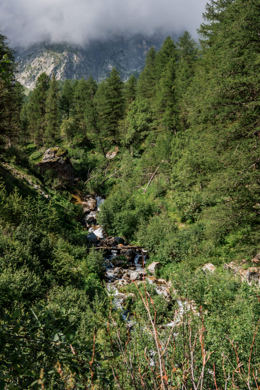 Woks Stone King Rally - Super schöner Strassenpass