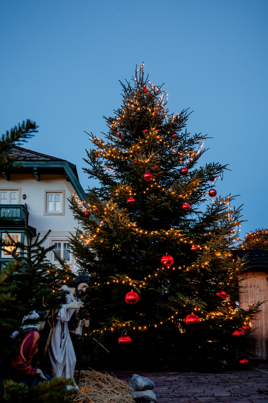 Christbaum im Strobler Adventmarkt